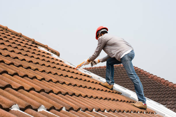 Best Sheet Metal Roofing  in Lexington, TN