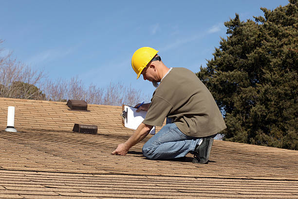 Best Roof Moss and Algae Removal  in Lexington, TN